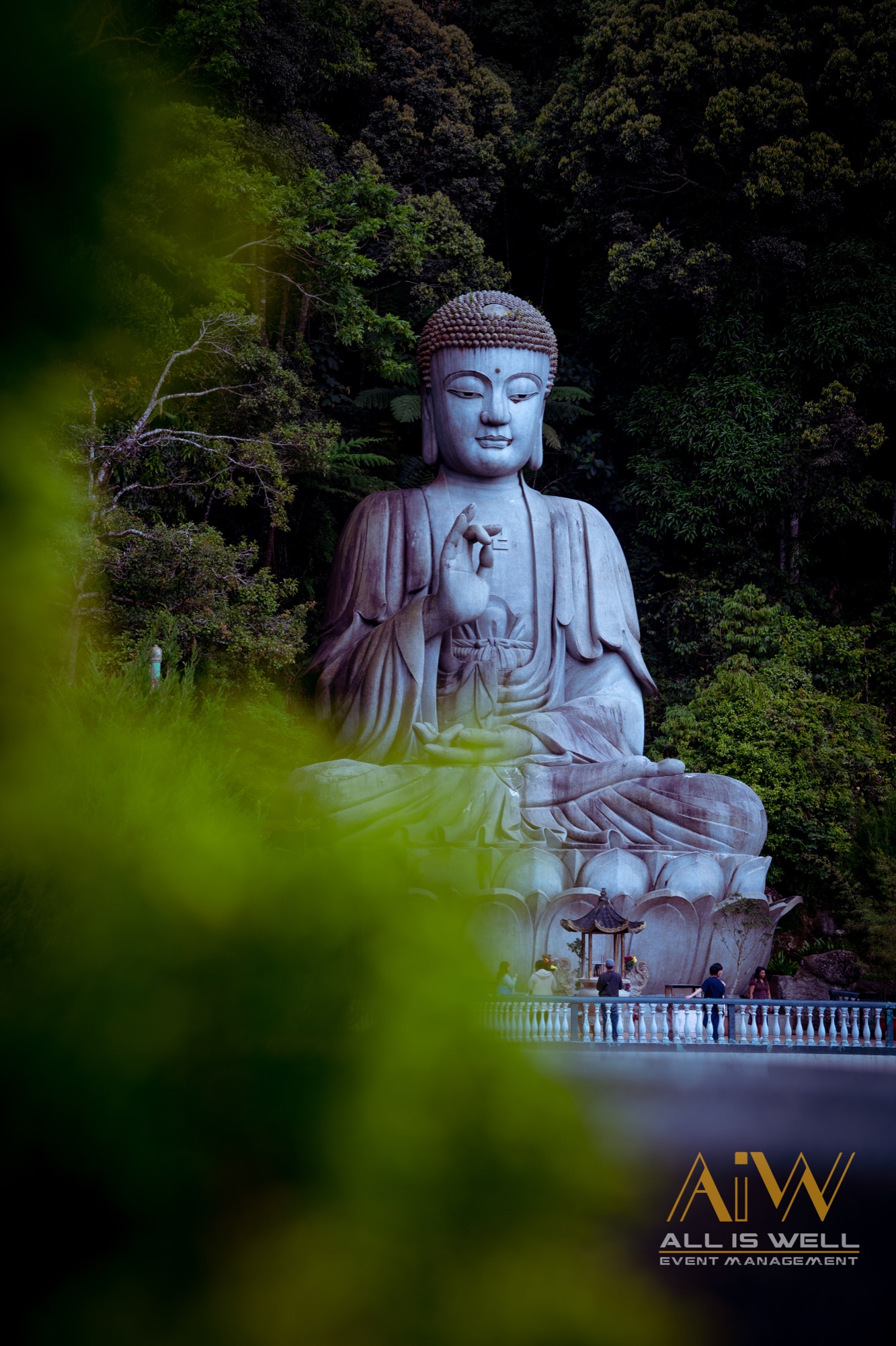 Large Buddha statue framed by foliage